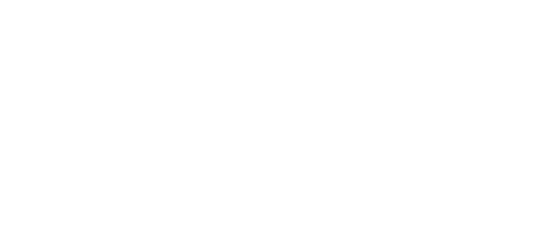 DENEXUS_DeRISK_Insurance_text_white