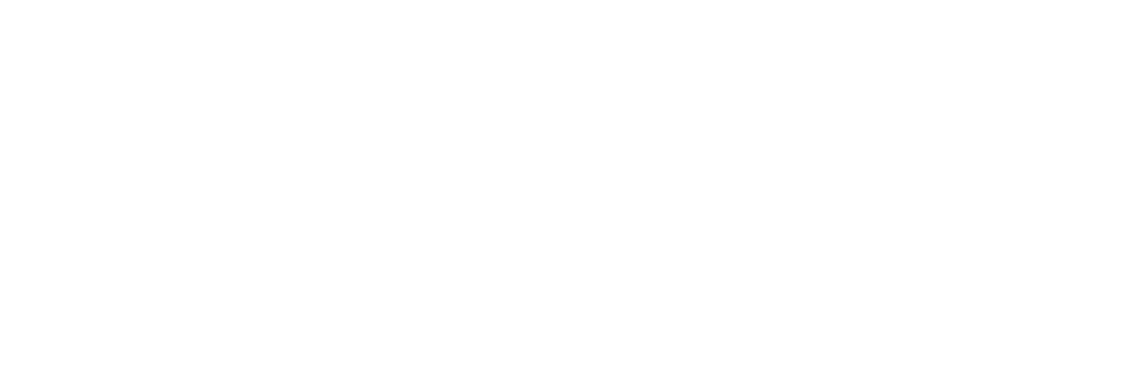 Denexus_MainLogos_White-3