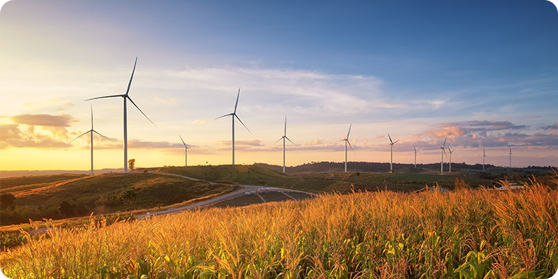 Utility and Renewable Portfolio